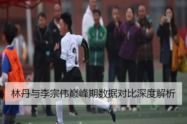 林丹与李宗伟巅峰期数据对比深度解析