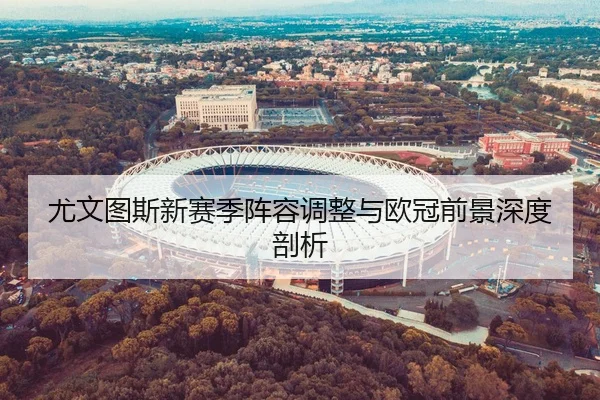 尤文图斯新赛季阵容调整与欧冠前景深度剖析